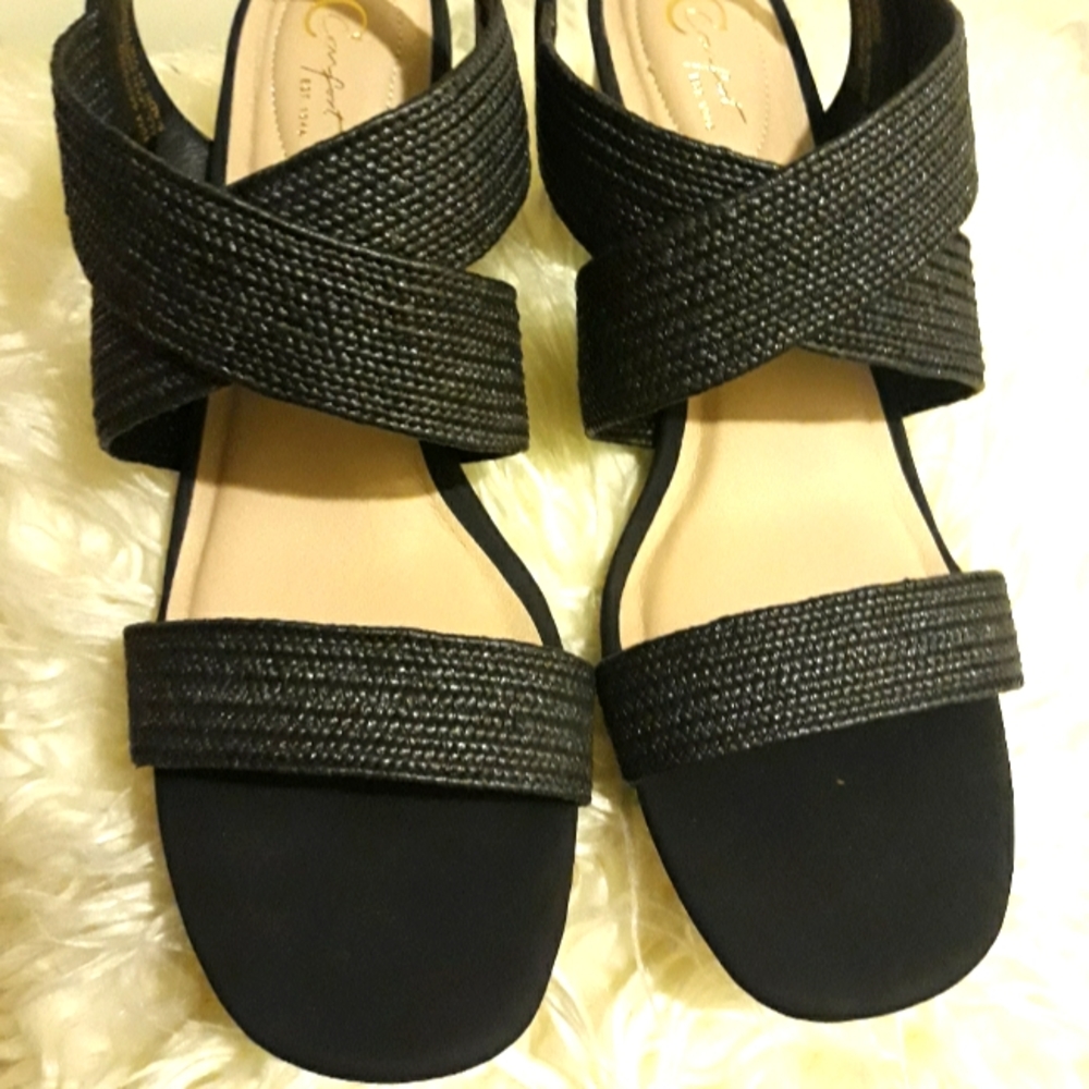 $25 Sophisticated Black Sexy Shoes, price Correction.
